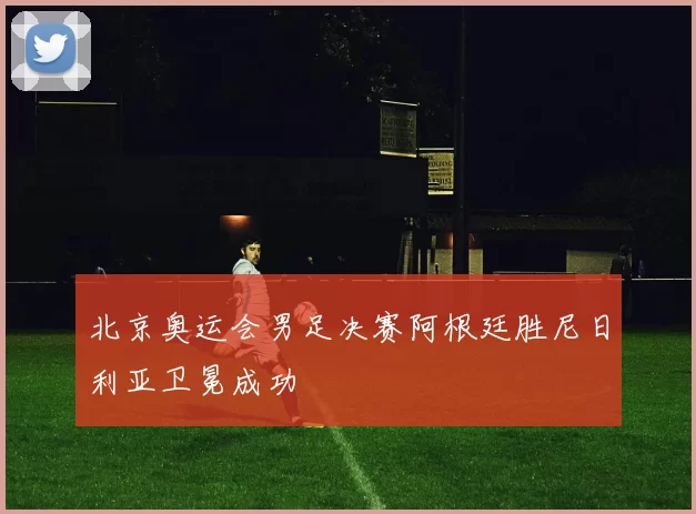 北京奥运会男足决赛阿根廷胜尼日利亚卫冕成功